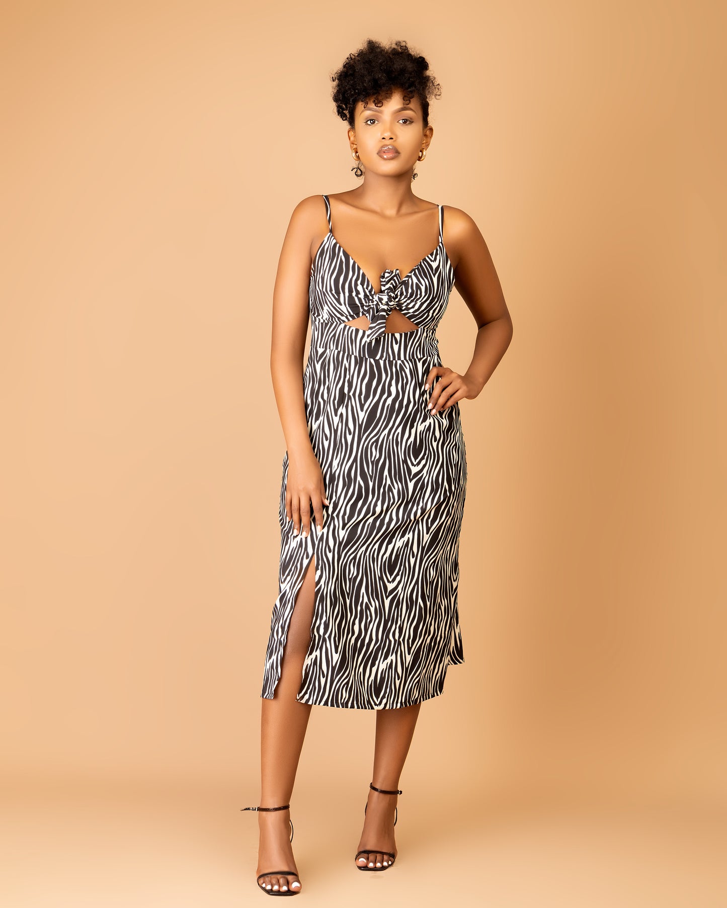 Tiger Print Front Tie Midi Dress